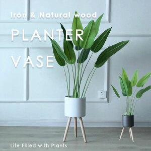 ACA VR ؐ k t[x[X v^[x[X t