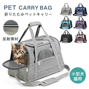 hЗphC y yʂo 2way ʉ@ a@ s ܂ ܂肽   ˂  L L[ ybg ybgobO