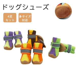 4s[X ybgObY ی h~ ی hbO ybg n ˑf u[c hV[Y C 