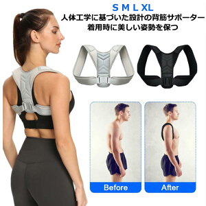 �p���T�|�[�^�[ �p���x���g �L�w�x���g �� �p�� �w�؋����x���g