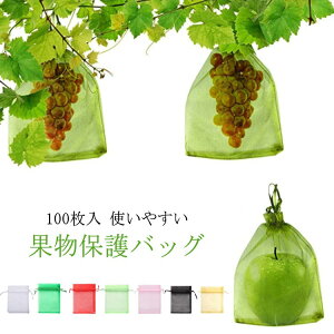 100  Ԃǂ lbg ʎ В 񂲑 悯lbg т 悯lbg h ʕlbg Ԃǂ  یlbg