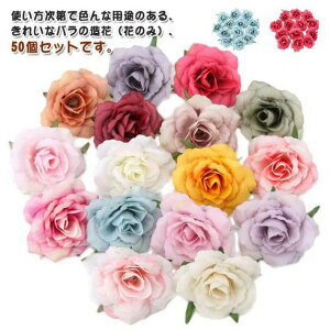 u[ o zCg bh 50Zbg ubN Ԃ̂ CG[ IW  sN O[ 8cm