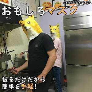 VN Q[ ] ʕ  p[eB[ ebNX}XN o[}XN nEB  F  }XN Č rbN