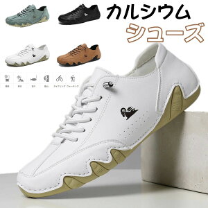  ʋ y amC v EH[LOV[Y hCrOV[Y JWAV[Y Y VXj[J[ IXX