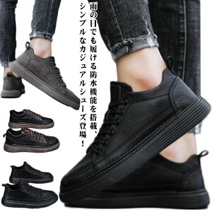 amC h ʊw y hV[Y EH[LOV[Y Xj[J[ ^C hXj[J[  ^C   rW