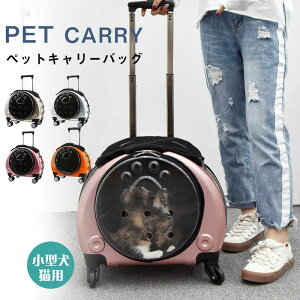   FD hCu L[P[XbVʋCo ^  L[obO L LX^[t bN