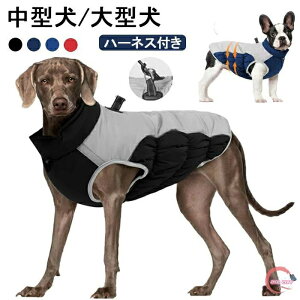  傫TCY ^ n[lX WPbg V h Ȃ hbOEFA R[g xXg ^ ^ ~ g ~