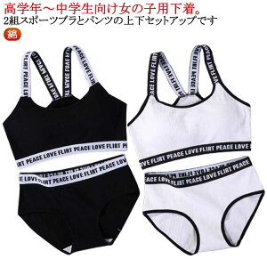  w LbYu  Ci[ V[c ̎q pS ZbgAbv V[c WjAu qp WjA uW[