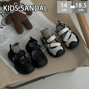 T bV Xj[J[  LbY Xj[J[T_ ɂ ܐ LbY X|[cT_ j̎q ̎q LbY