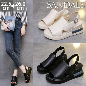 fB[X ₷ s  EFbW\[ bNXT_  RtH[gT_ SXgbv obNS T{