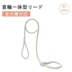 X Pp g[jO o U AEghA ^ ^ ^  Xbv[h ۃ[v ֈ̌^ [h