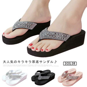 Xbp  LL y 5cmq[ r T_ XpR[T_ r[`T_  fB[X T_