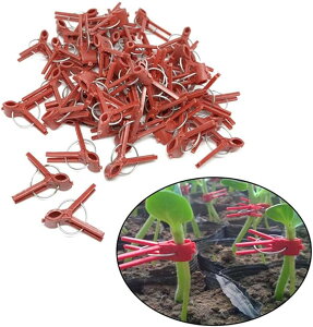 |pi ږؗp ʕ  UNbv vX`bN ڂ؃Nbv c  iX LE 100Zbg