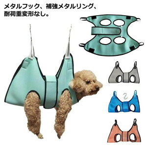  PA nbN ݂艺 \h~ ܐ؂ ݂艺 L