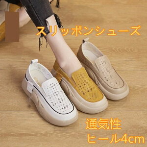 y C y V[Y [q[ C RtH[gV[Y Xj[J[ C q[4cm  O   ʋC fB[X