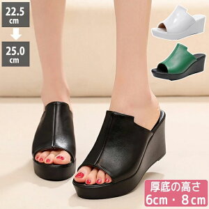 i  ItBXT_ ~ y ₷ EGbW\[ fB[XT_ T_ ][gT_