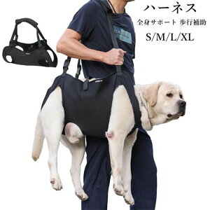 p xXgn[lX ybg hCuxXgn[lX n[lX