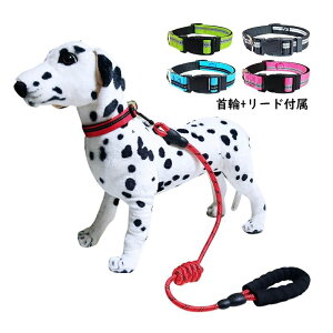 FI S5F ybgpi  ɂȂ S S  v U p  Lp [ht ̎ 