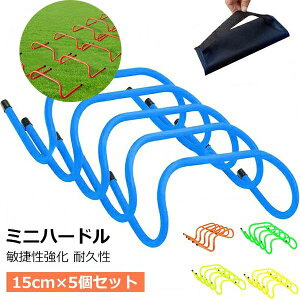 K 싅 tbgT oXP TbJ[  ^ѕ֗ L[Xgbvt [P[X g[jO 15cm 5Zbg