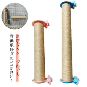 L ܂Ƃ ꊪ  {[ P[Wt Œ 40cm P[Wp lRp ܌ Vׂ܌|[ c P[WpXebv 