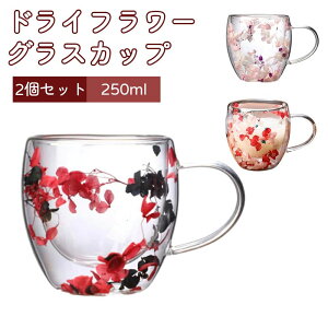 hCt[t ϔMKX 250ML dOX hCt[OXJbv t _uEH[OX y2Zbgz