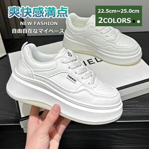 ^ WMO X|[c Vv YXj[J[ _CGbgV[Y jOXj[J[ fB[X V[Y Xj[J[