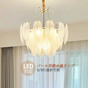   6`10 V[OCg m VƖ H KX VfA 傫 LEDΉ k  ^