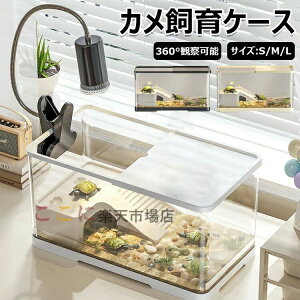 Eoh~ TP[W 甠 y  a肪֗ ȒP [@\ Wt S҃Zbg Jp 傫  T