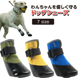 JC _炩 ₷ ~ ی ybgC EȂ ~ Up ʌC ̌C C hbOV[Y C