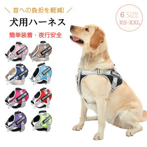 ʋC bV ʋC qh~ AEghA o U ^ ^ ^ Ȃ h~ ȒP  n[lX