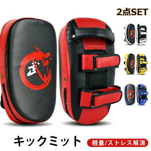 打 練習用ミット キックボクシング ボクシング 格闘技 軽量 2個セット パンチミット 衝撃を吸収 ミット 空手 キックミット 本格