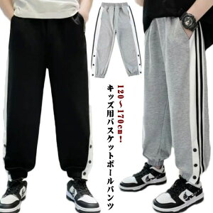  Y{ 140 oXPbg{[pc oXPpc {A W[W j̎q ̎q oXp TChC WjA {^