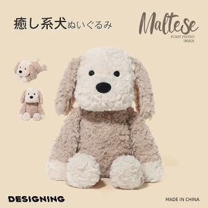 킢  lC q ̎q tHgj̎q xr[ Ԃ oYj Mtg v[g t@[XggC ʂ