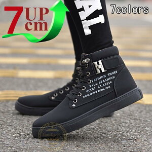  Xj[J[ Y wȂ up7cm gAbv7cm 