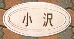 yz̓\DiˌE}Vp^Cv̕\DjTM-07₠