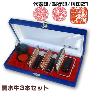 Ж̉搔gfɊÂe쐬鎖Ɨp/3{Zbgy\18~{s18~{Ј21~pzӒ@BЈӁEP[XtZbgy[o/z[@l