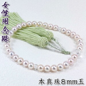 pO@{^8~ʁiRFl[12jЎ3350085@FSL[^8mm/쐔//ʖ/V/@/ފ/Q]yz
