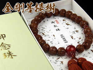 jpO@dĕЎ2250010[쐔//ʖ/V/@/Q]yyΉz[yz