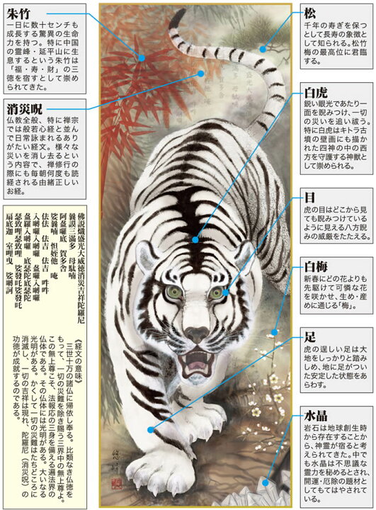 楽天市場】掛け軸【縁起画：消災白虎朱竹之図/3D5-019】丈190cm×幅54.5 