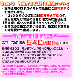 レビュー不要でも宅配便送料無料♪あす楽対応!古物商許可証・古物商プレート・質屋・古物商許可プレート・標識の通販選べるプレート色&書体♪両面テープ付!穴開けオプション加工無料