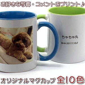 カップ 写真の人気商品 通販 価格比較 価格 Com