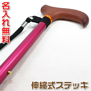 ꖳVvȃA~LkXebLisNj΂̒aAhV̓̃v[gɁBɕE܁EPȂǂŕKvȕւ̂[Ka쏊EP-107]y