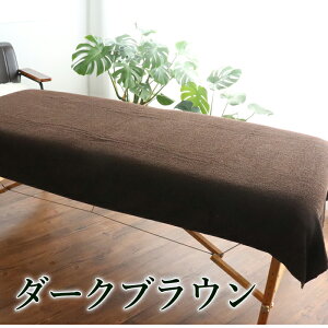 \ 薄手 サロン 専用 / ベッドタオル タオルシーツ ベッドシーツ 【 ecoパイル タオル シーツ 110×220cm 4color】 エステタオル サロンタオル マッサージベッド エステ サロン タオル 特大シーツ