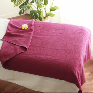 _ K̖؂ɓXhJ ǉ \ ^ oX^I 唻oX^I y pC oX^I L 90×150cm z 唻oX^I Ɩp xbhV[c T ^I 傢 GXe T e T