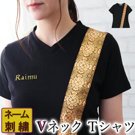 名入れ tシャツ vネック レディース アジアン 制服 半袖 シャツ 吸汗速乾 綿 マッサージ セラピスト リラクゼーション 整体 サロン 半袖 シャツ 無地