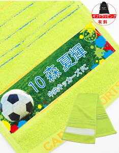 _   ^  c LO X|[c^I  }t[^I `[^I X|[c v[g y 1` TbJ[ oXP 싅 o[ }t[ `[ ^I 19×98cm 4color