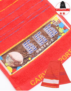 _   ^  c LO X|[c^I  }t[^I `[^I X|[c v[g y 1` TbJ[ oXP 싅 o[ }t[ `[ ^I 19×98cm 4color