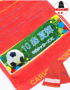 _   ^  c LO X|[c^I  }t[^I `[^I X|[c v[g y 1` TbJ[ oXP 싅 o[ }t[ `[ ^I 19×98cm 4color