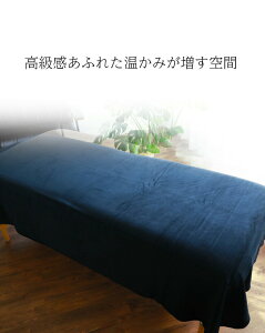 _ubNcolor iȃxxbgn^ y n[tpc GXeKE xbhV[c Jo[ 130×220cmzGXe^I T^I GXe T ^I Ɩp T ^I 唻 ^I