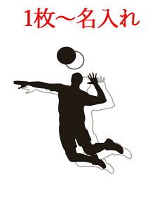 ★ おしゃれ 名入れ ★\ 送料無料 / スポーツタオル 名入れ 名入れタオル 卒業 卒団 卒部 記念品 部活 【 1枚〜 名入り 超吸水 速乾 14種類 スポーツ 30×100cm 専用収納袋付 セームタオル 3color